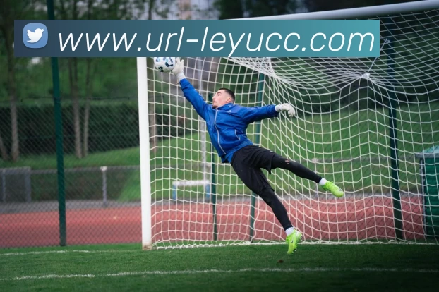 乐鱼体育发展历程